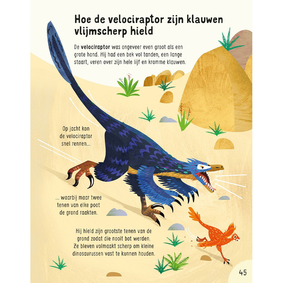 uitgeverij usborne wist je dit al over dinosaurussen? | 1701066 | 4