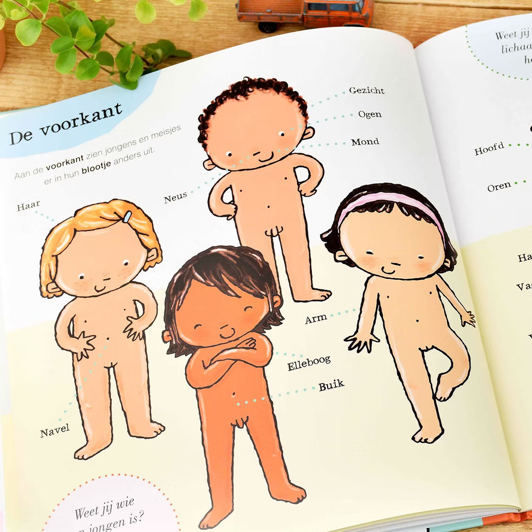 uitgeverij clavis alles over jouw lichaam - kriebels in je buik - kinderen en seksualiteit  | 1443460 | 06