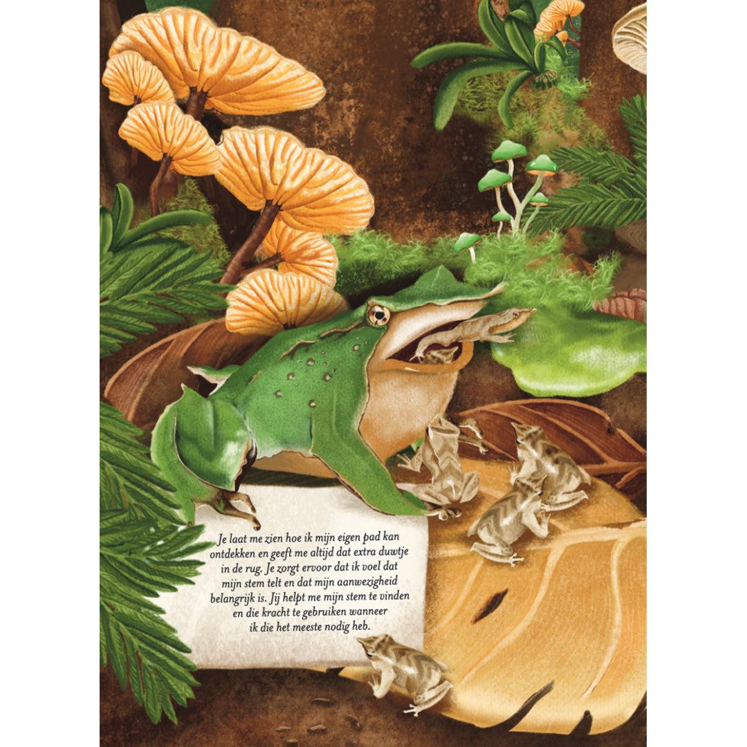 uitgeverij clavis prentenboek wild van papa | 9789044853681 | 4