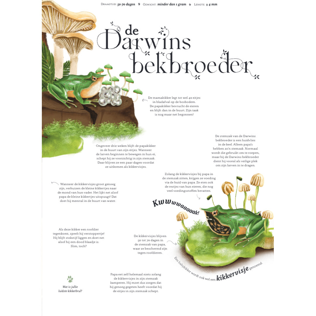 uitgeverij clavis prentenboek wild van papa | 9789044853681 | 5