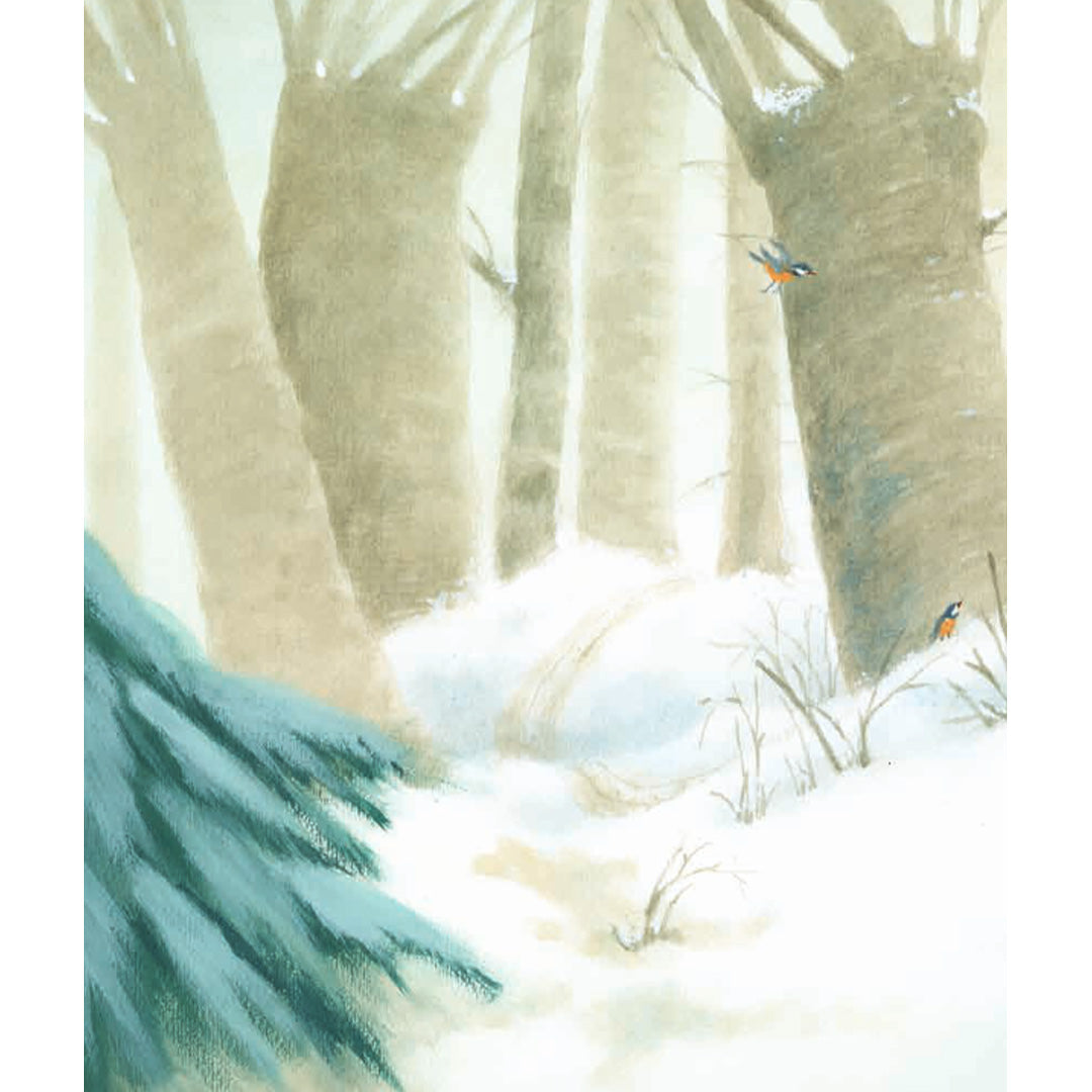 uitgeverij de vier windstreken paultje in de sneeuw | 9789051169775 | 4