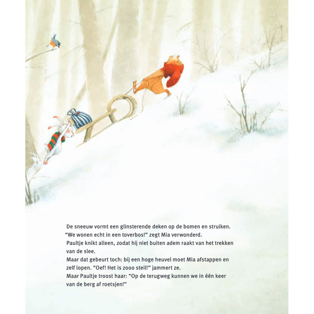 uitgeverij de vier windstreken paultje in de sneeuw | 9789051169775 | 5