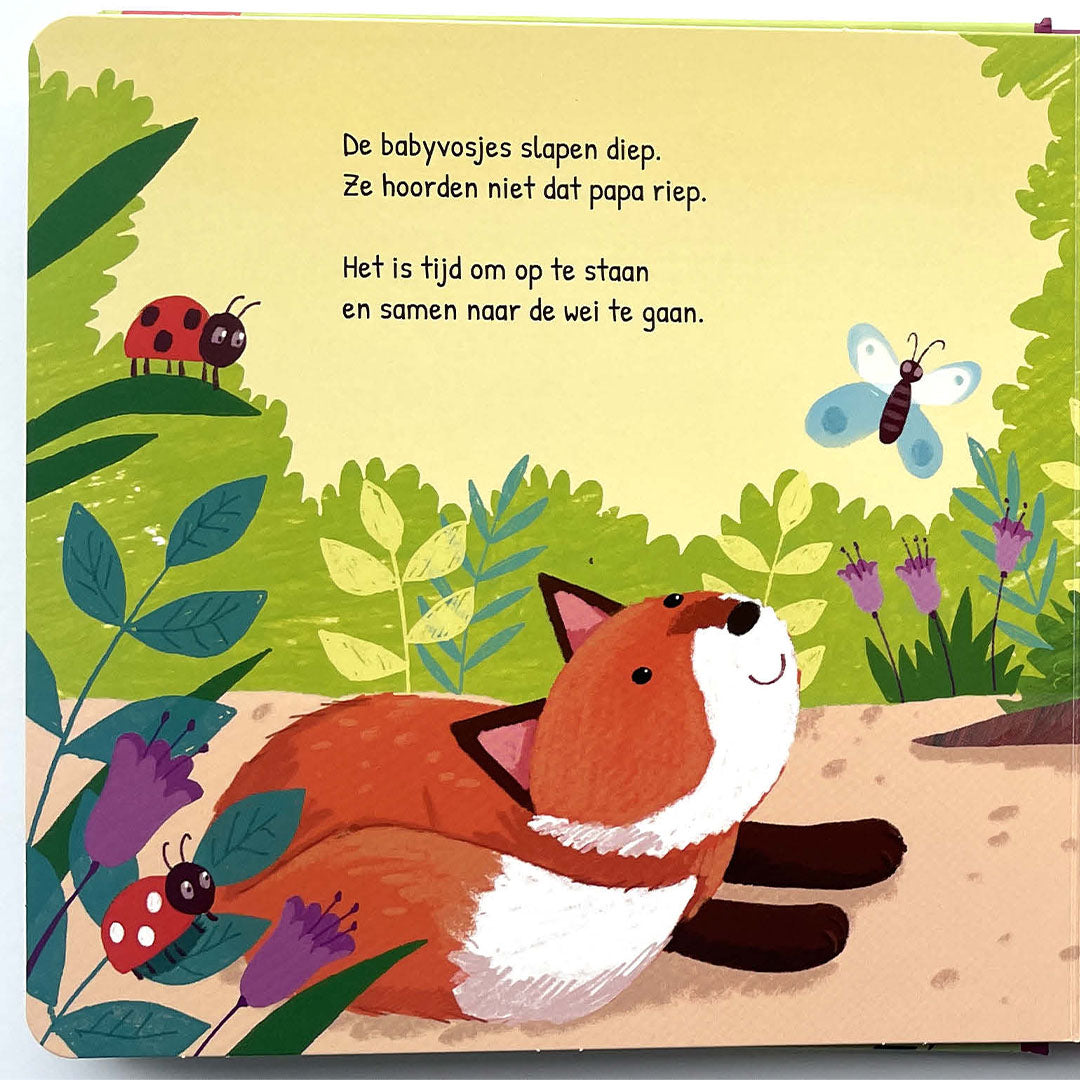 uitgeverij deltas flapjesboek zoek je mee? - in het bos | 0582402 | 3