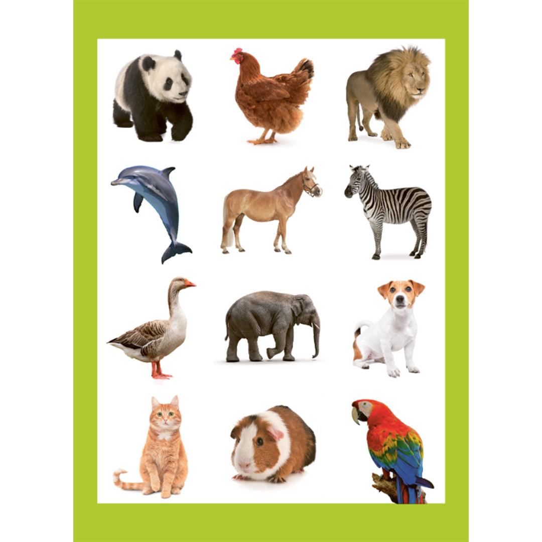 uitgeverij deltas kleur- en stickerboek lieve dieren | 0664076 | 2