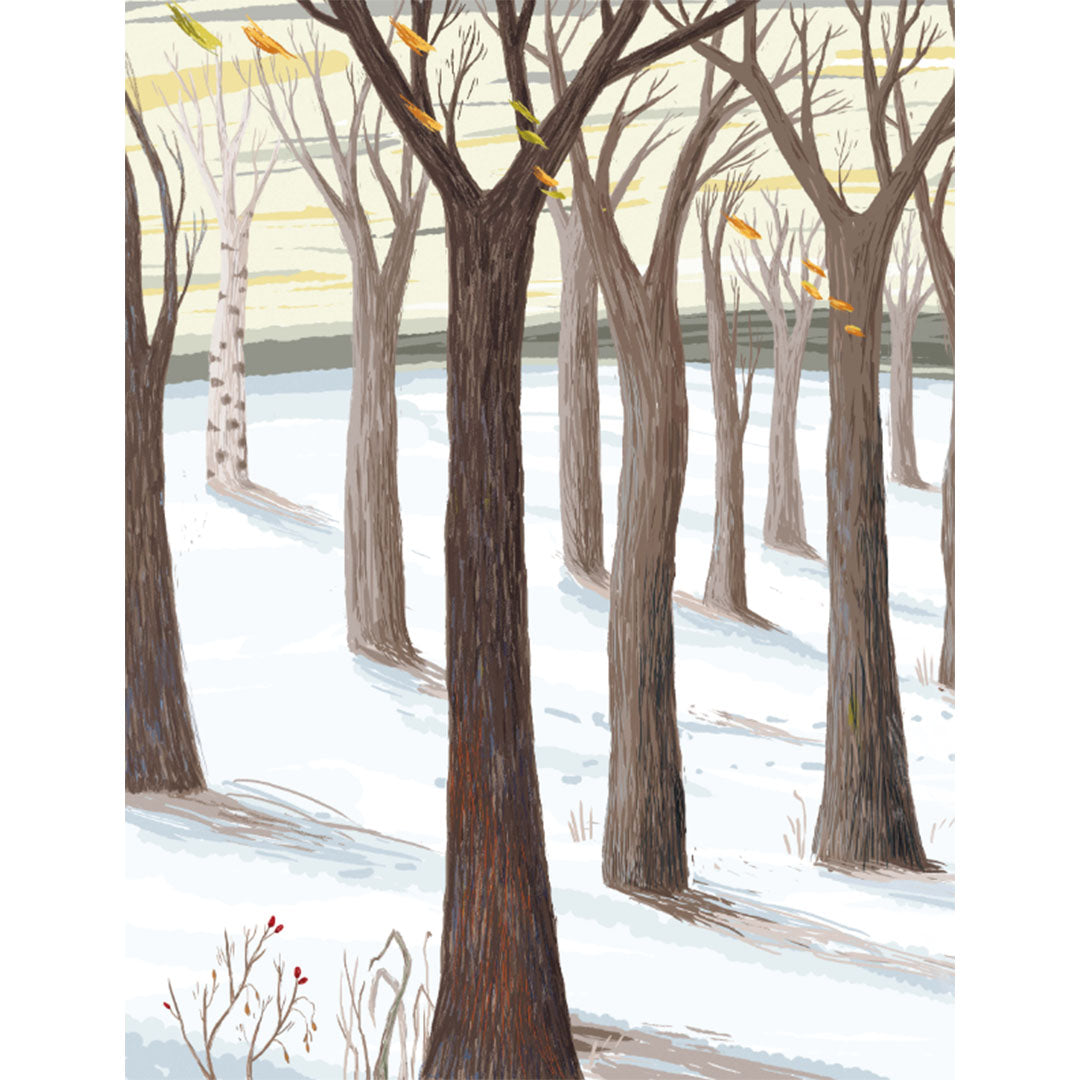 uitgeverij deltas prentenboek op een koude winterdag | DELT0425074| 2