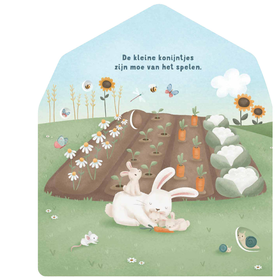 uitgeverij mercis little dutch kartonboek mijn doorkijkboek - boerderij | 1767106 | 2