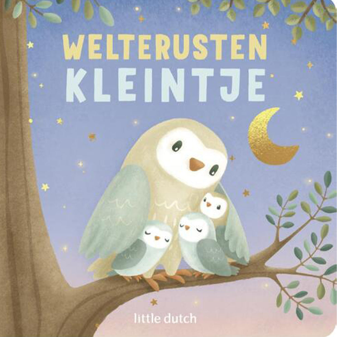 uitgeverij mercis little dutch kartonboek welterusten kleintje | 1767175 | 1