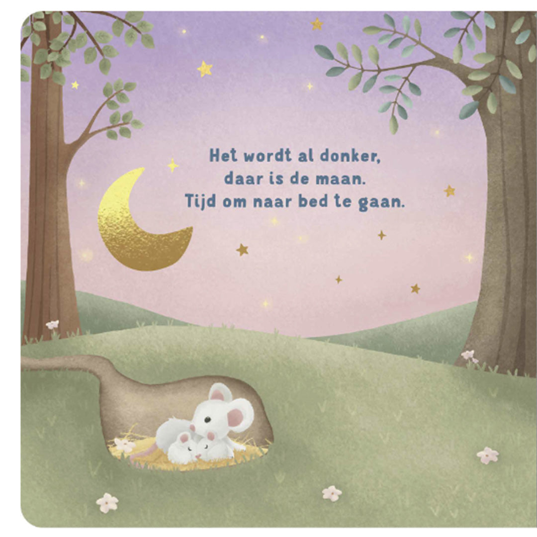 uitgeverij mercis little dutch kartonboek welterusten kleintje | 1767175 | 2