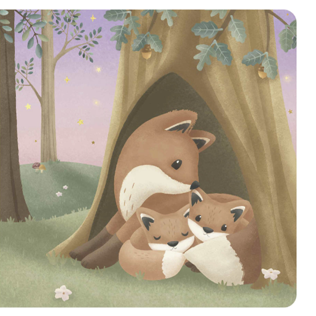 uitgeverij mercis little dutch kartonboek welterusten kleintje | 1767175 | 3