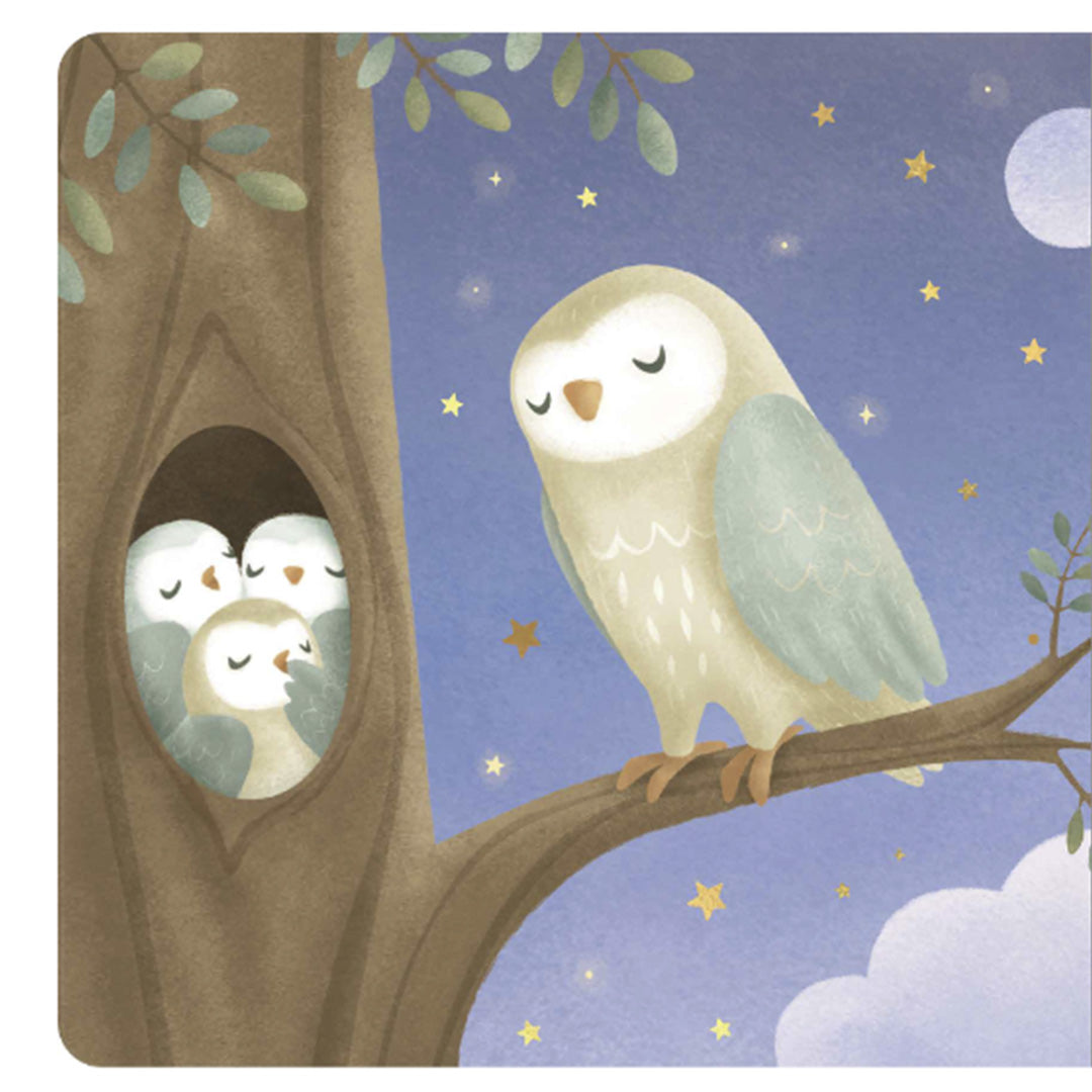 uitgeverij mercis little dutch kartonboek welterusten kleintje | 1767175 | 4