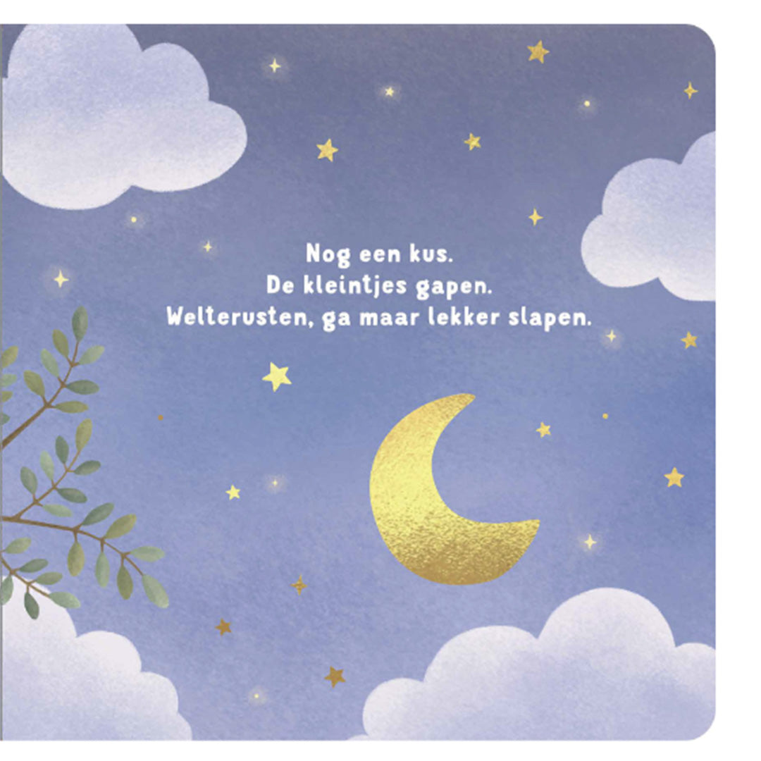uitgeverij mercis little dutch kartonboek welterusten kleintje | 1767175 | 5