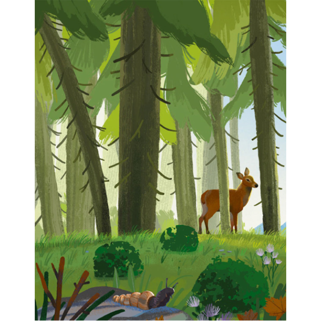 uitgeverij witte leeuw er was eens een eekhoorn | 9789493354401 | 2