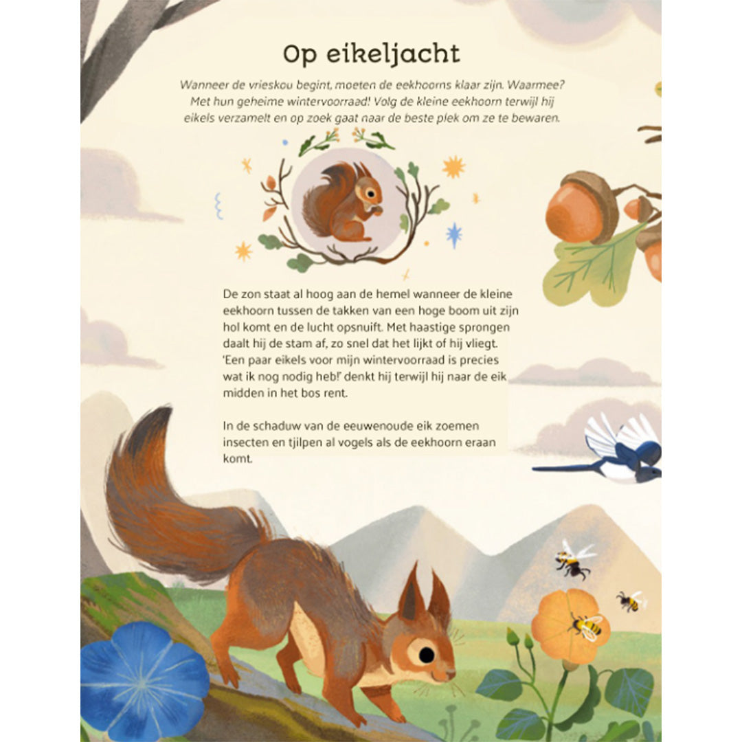 uitgeverij witte leeuw er was eens een eekhoorn | 9789493354401 | 4