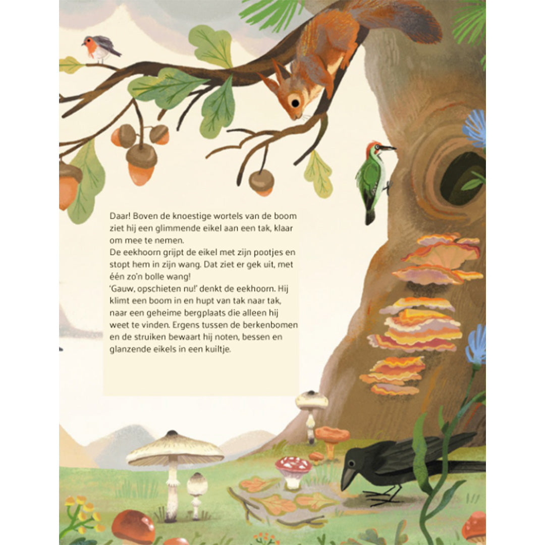 uitgeverij witte leeuw er was eens een eekhoorn | 9789493354401 | 5