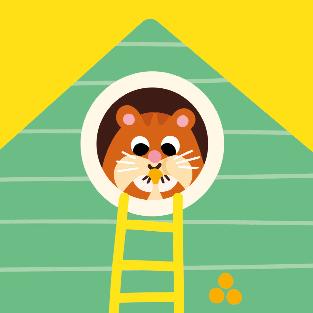 Illustratie van een hamster die uit een rond raam van een groen huisje kijkt, met een gele ladder.