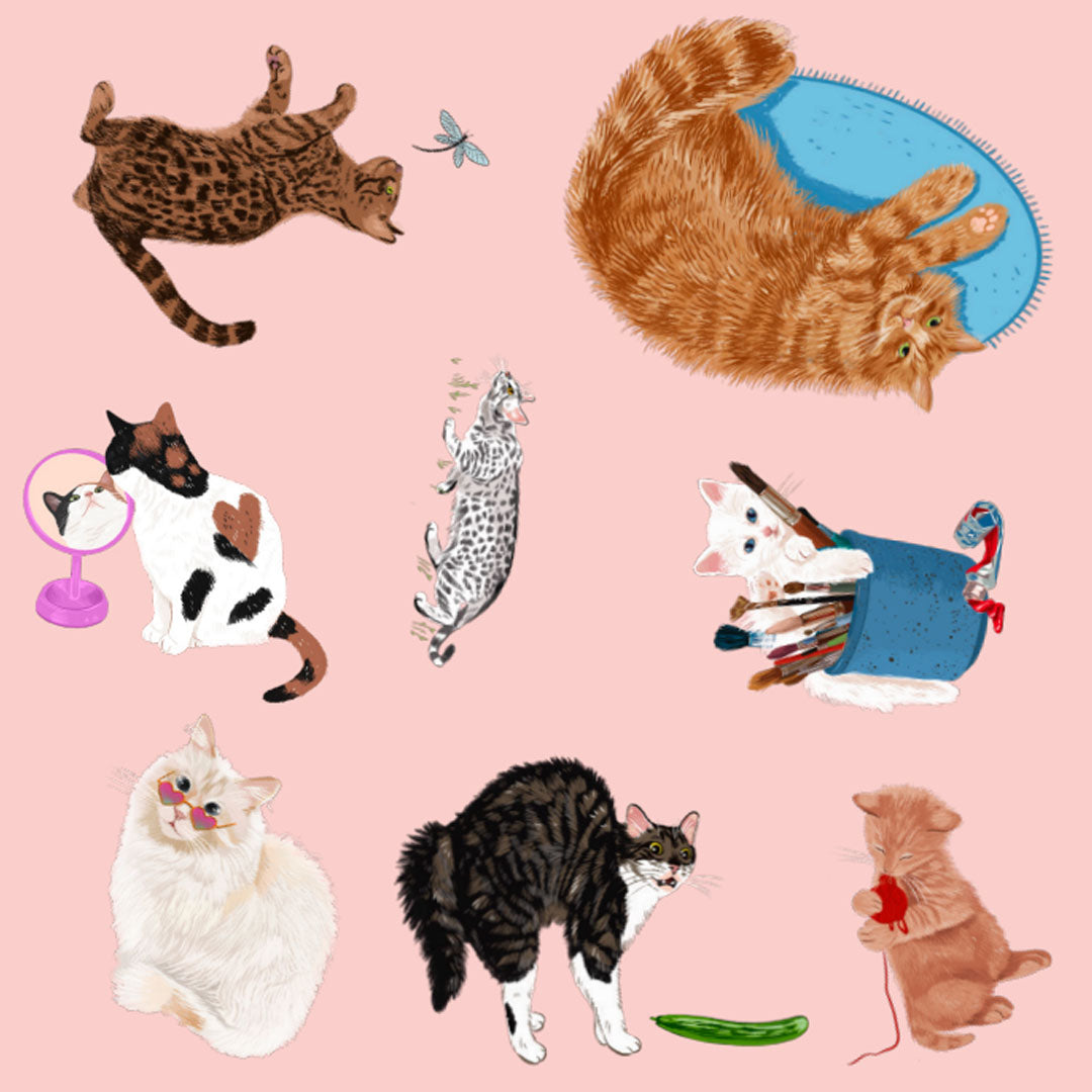 uitgeverij bbnc spel kattenspotter | BBN1353081 | 2