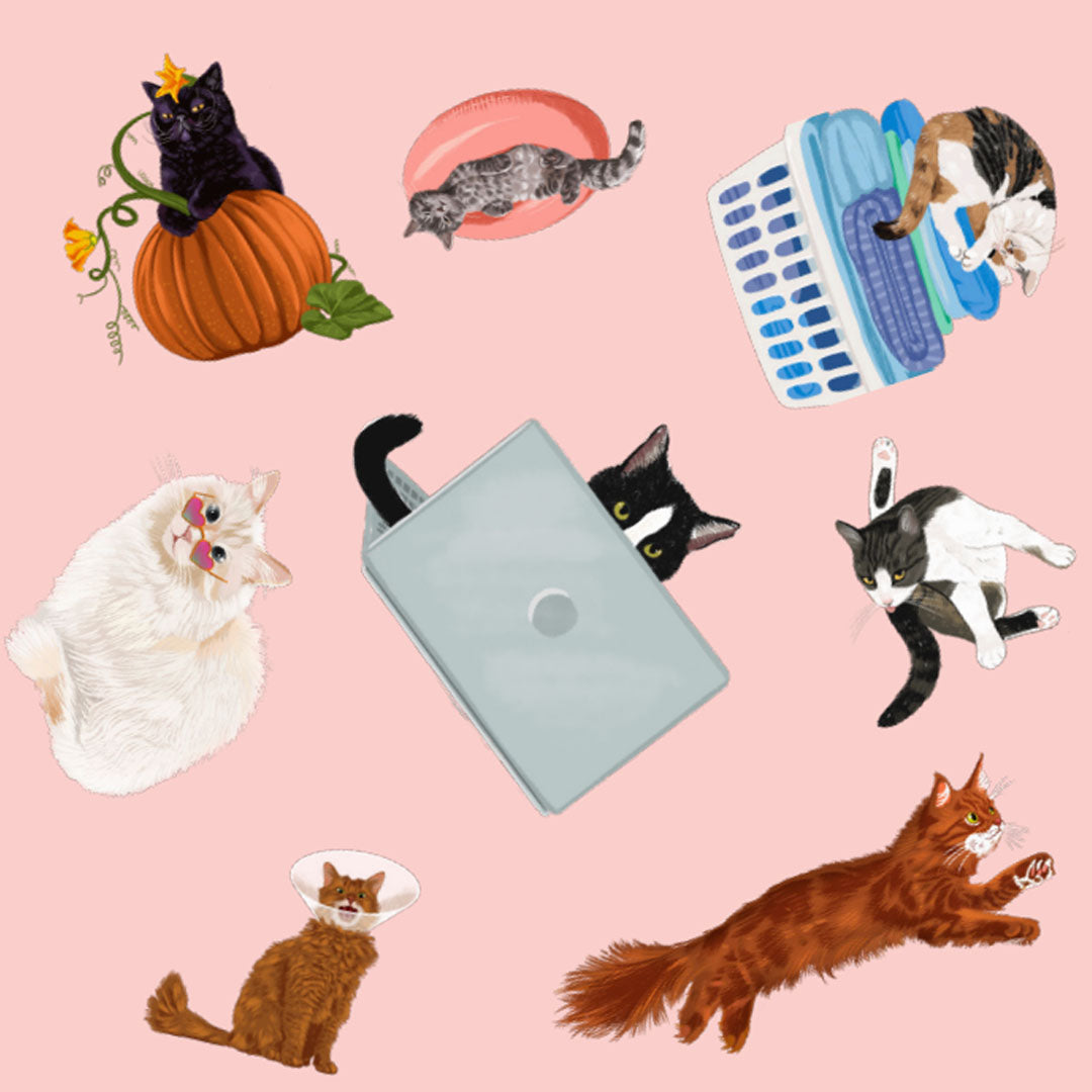 uitgeverij bbnc spel kattenspotter | BBN1353081 | 3