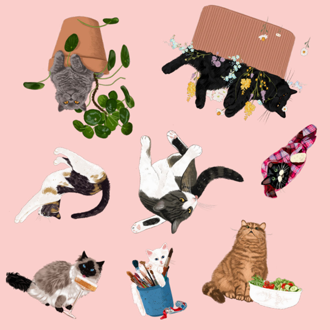 uitgeverij bbnc spel kattenspotter | BBN1353081 | 4