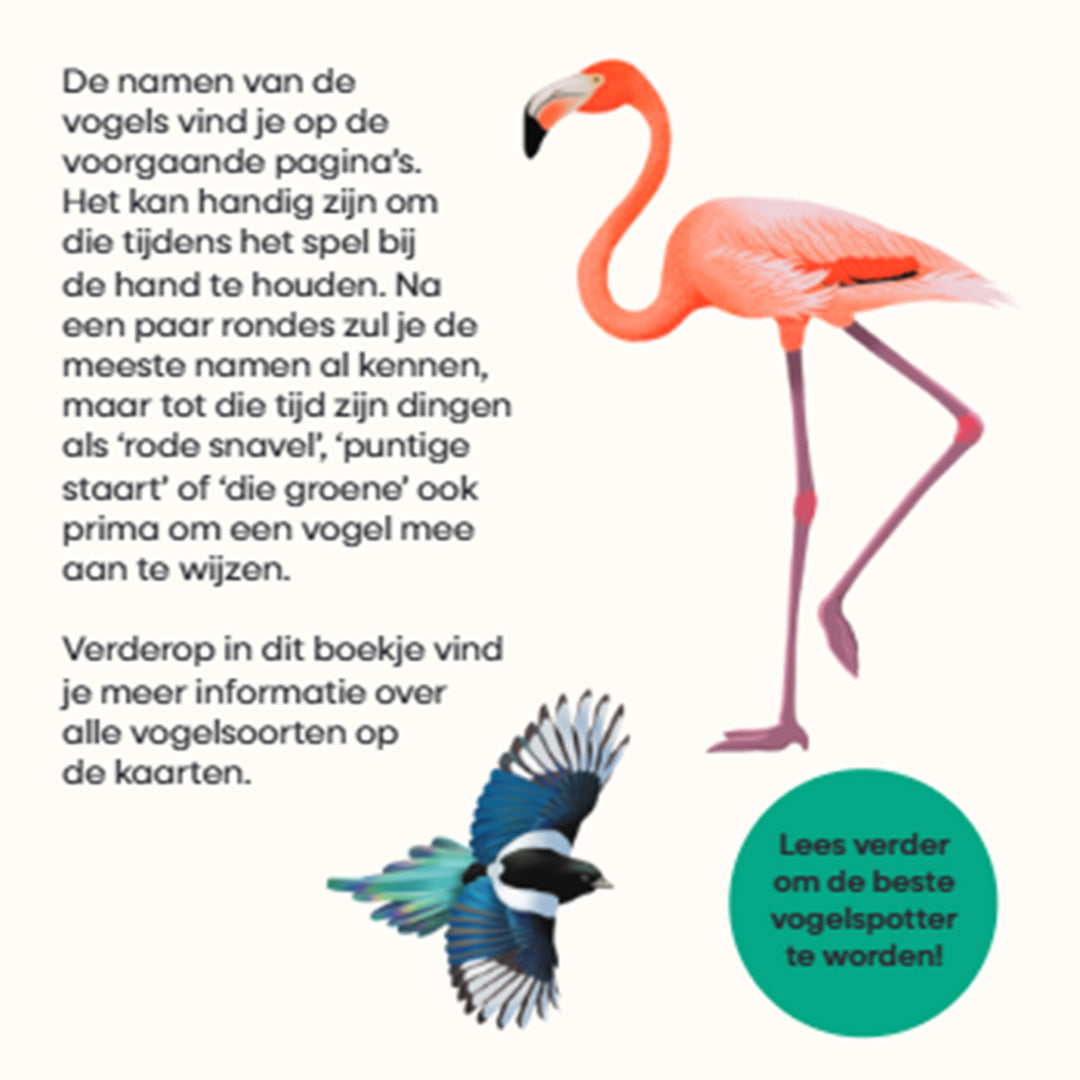 uitgeverij bbnc spel vogelspotter | BBN1353079 | 4