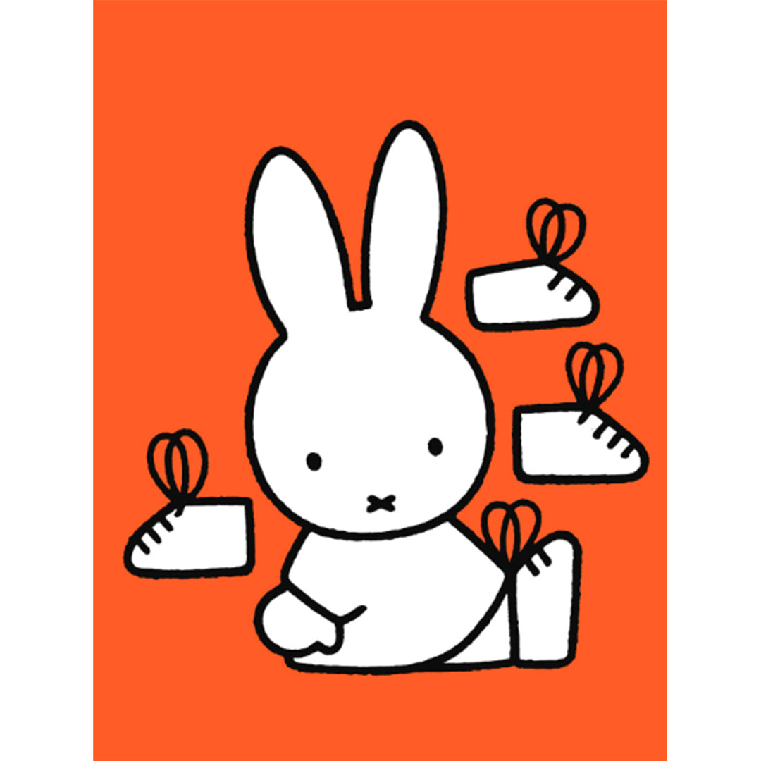 uitgeverij big balloon nijntje gaat kleuren | 1298404 | 3