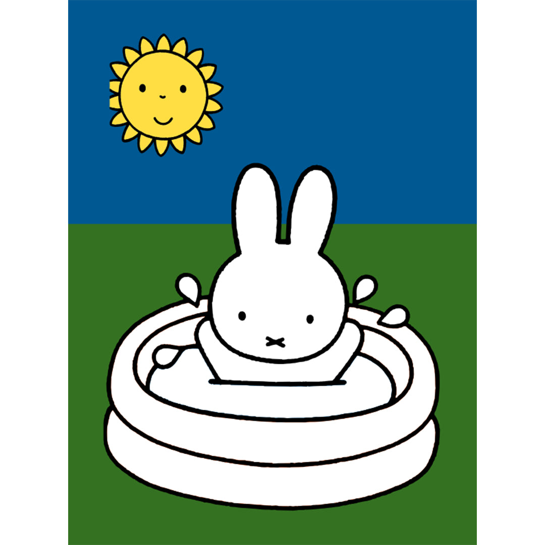 uitgeverij big balloon nijntje kleurblok | 1298204 | 3