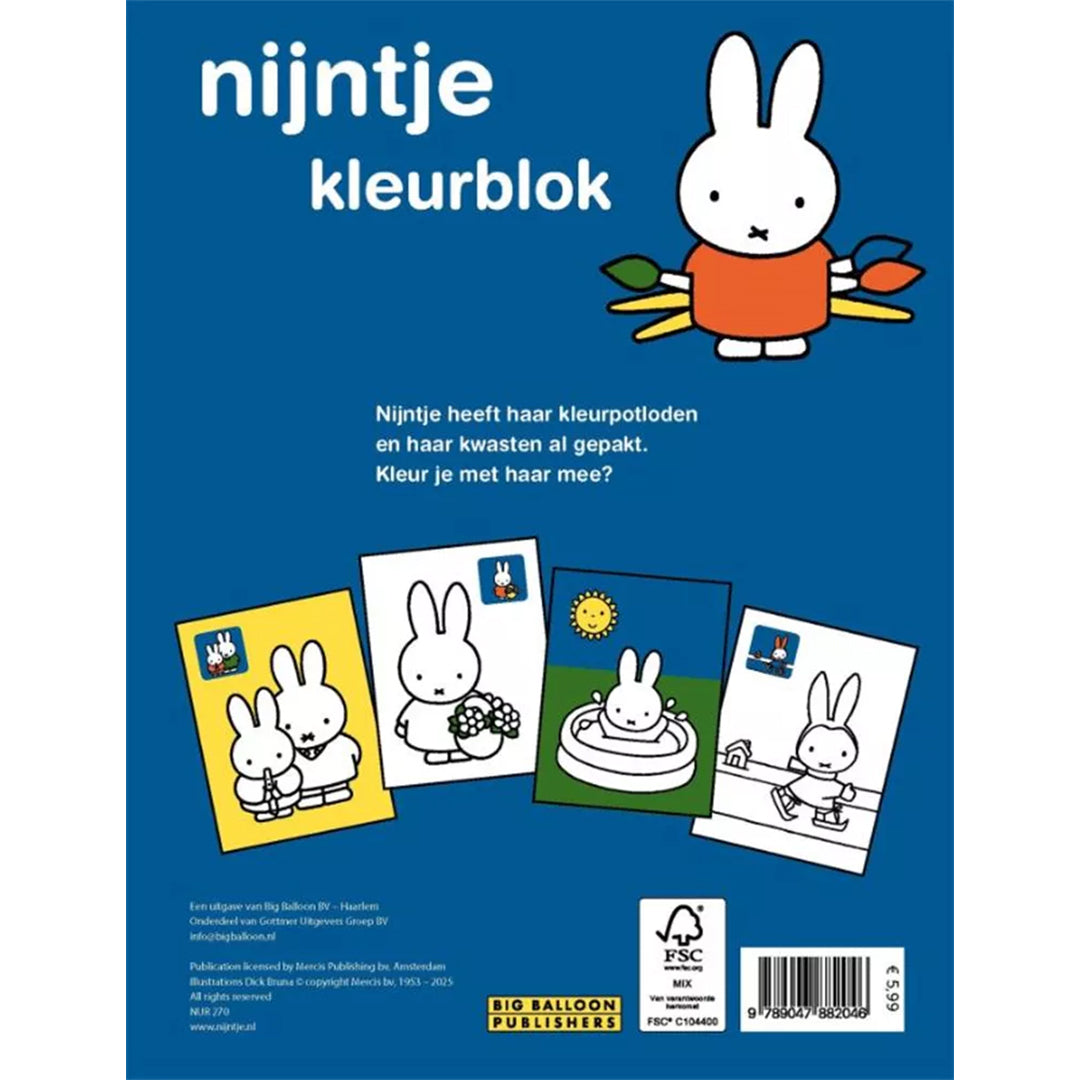 uitgeverij big balloon nijntje kleurblok | 1298204 | 4