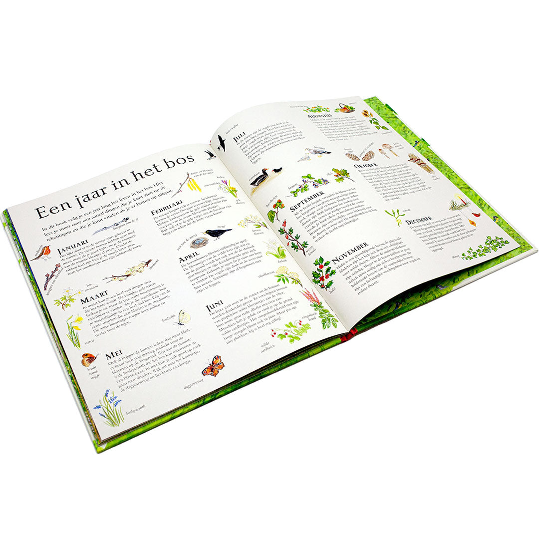 uitgeverij christofoor het bos van muis | 1668952 | 1