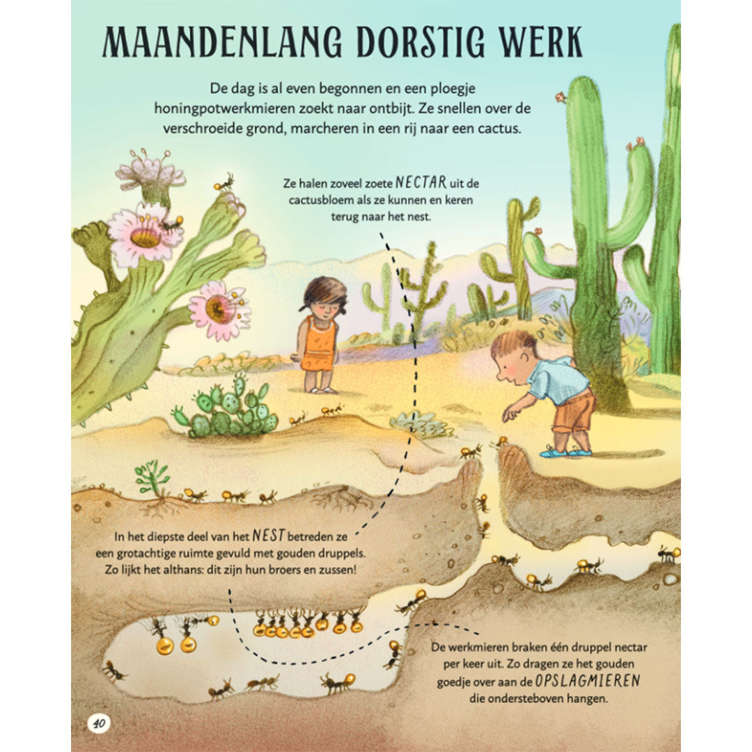 uitgeverij-christofoor-het-wachten-waard-16689605-6