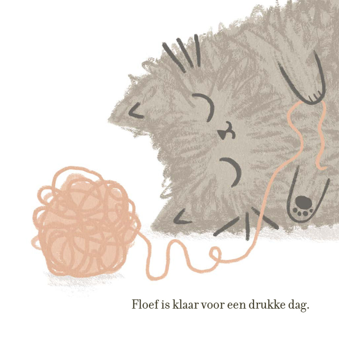 uitgeverij condor floef | 1615696 | 2
