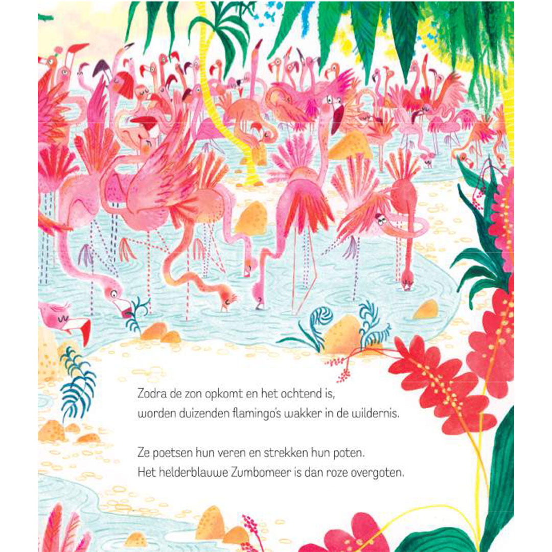 uitgeverij-de-fontein-de-regenboogflamingo-1537541-3