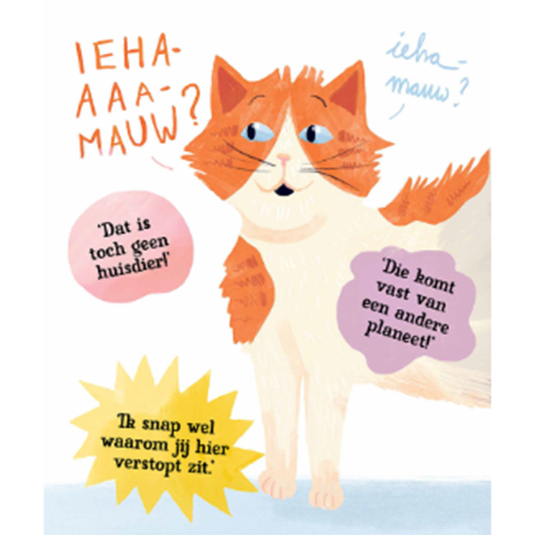 uitgeverij flora poezel een held op gekleurde sokken