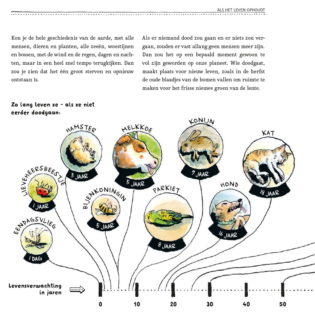 uitgeverij gottmer een tuintje op je buik | 6