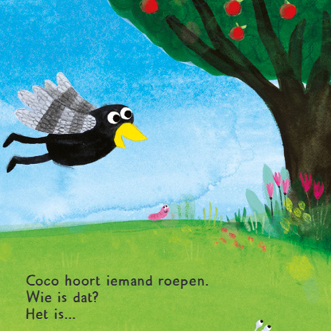 uitgeverij gottmer flapjesboek coco in de wei | 1608188 | 3b