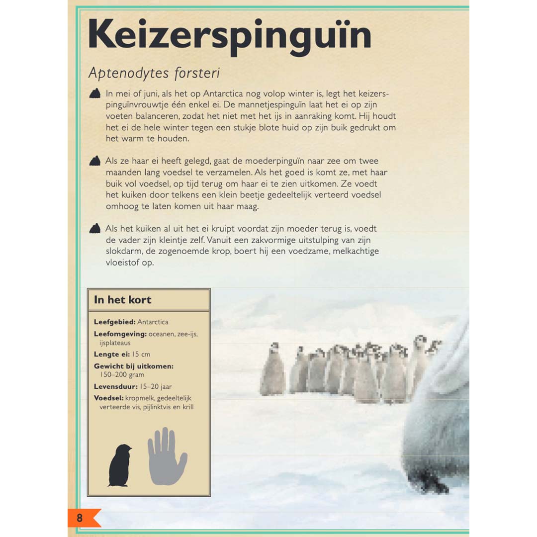 uitgeverij gottmer het allermooiste boek over babydieren | 1608101 | 3