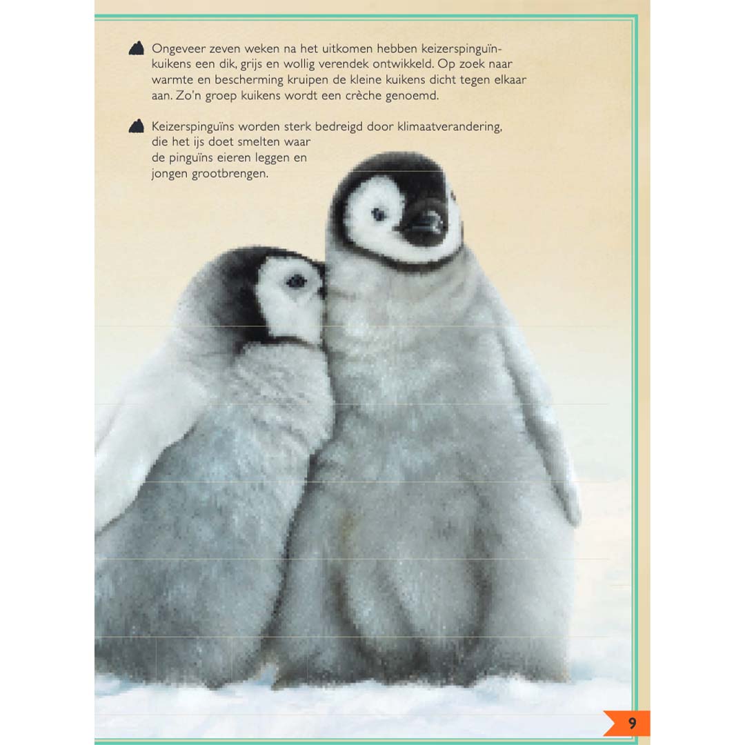 uitgeverij gottmer het allermooiste boek over babydieren | 1608101 | 4