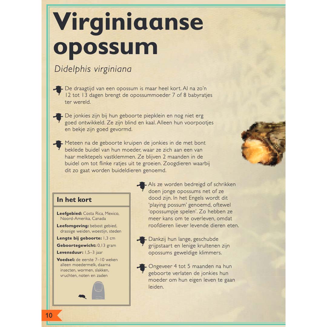 uitgeverij gottmer het allermooiste boek over babydieren | 1608101 | 6