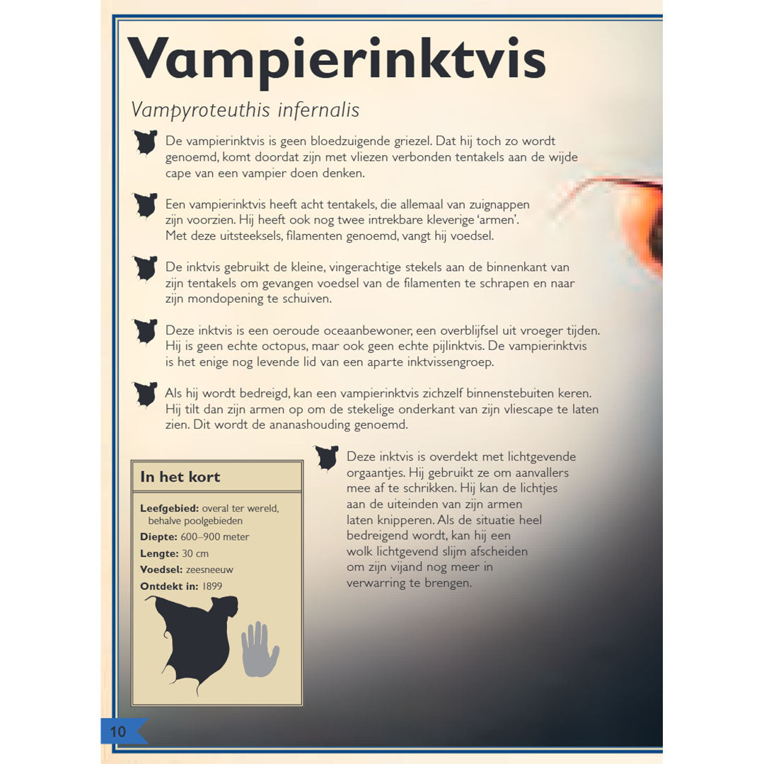 uitgeverij gottmer het allermooiste boek over diepzeedieren