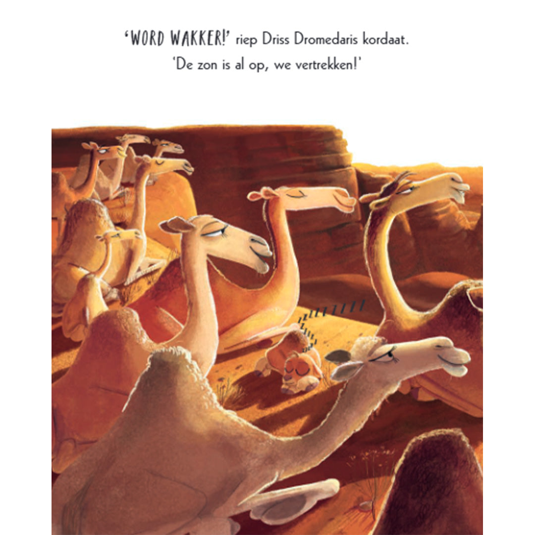 uitgeverij gottmer kartonboek lars de dwarse dromedaris | GOT1608267 | 2