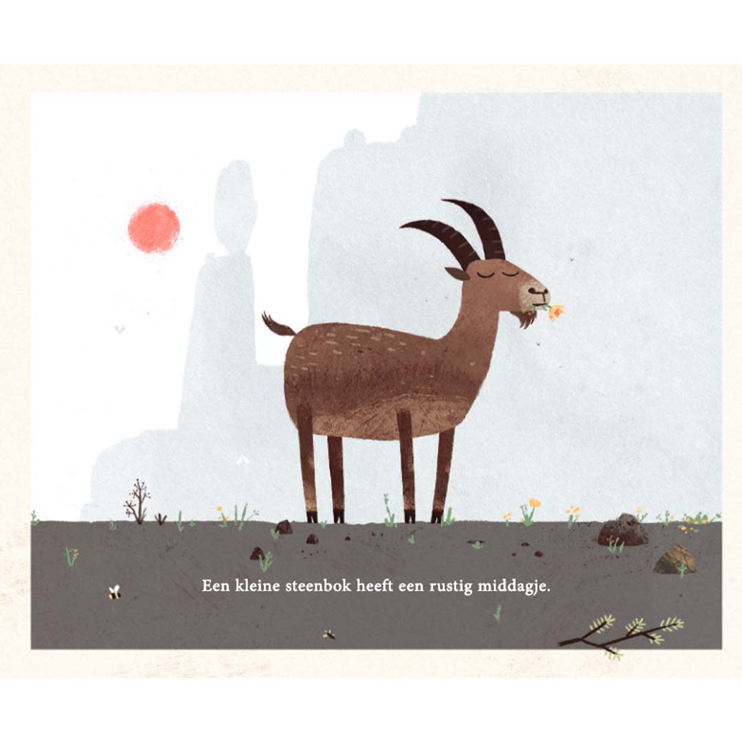 uitgeverij gottmer prentenboek op de top | 1608180 | 3