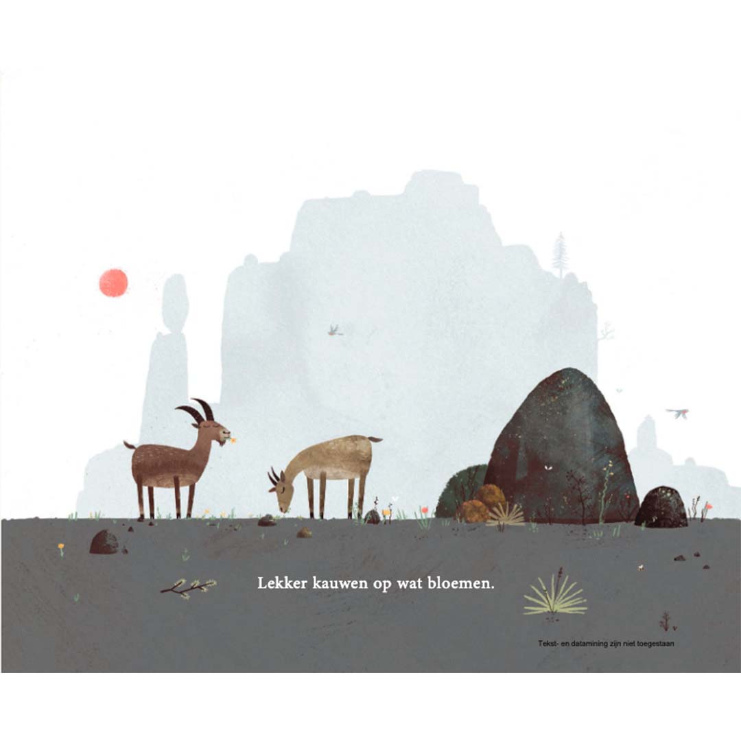 uitgeverij gottmer prentenboek op de top | 1608180 | 4