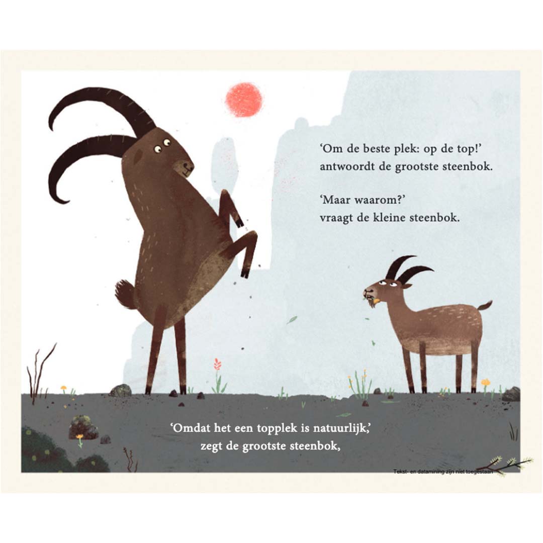 uitgeverij gottmer prentenboek op de top | 1608180 | 5