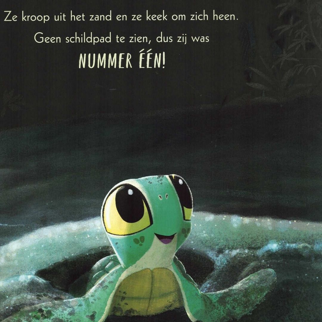uitgeverij gottmer prentenboek schiet op, schildpadjes | 9789025781897 | 2