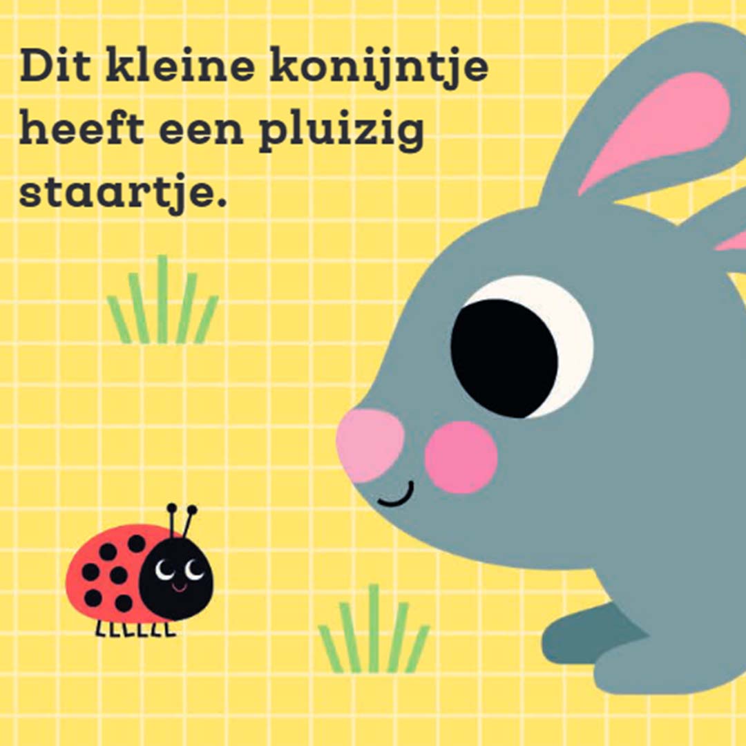 uitgeverij gottmer voelboek dit kleine kontijntje | 1608167| 2