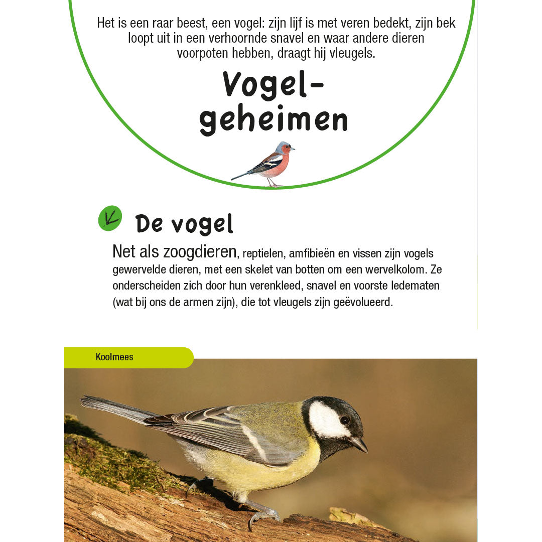 uitgeverij kosmos vogelgids voor kids | 1534256 | 2