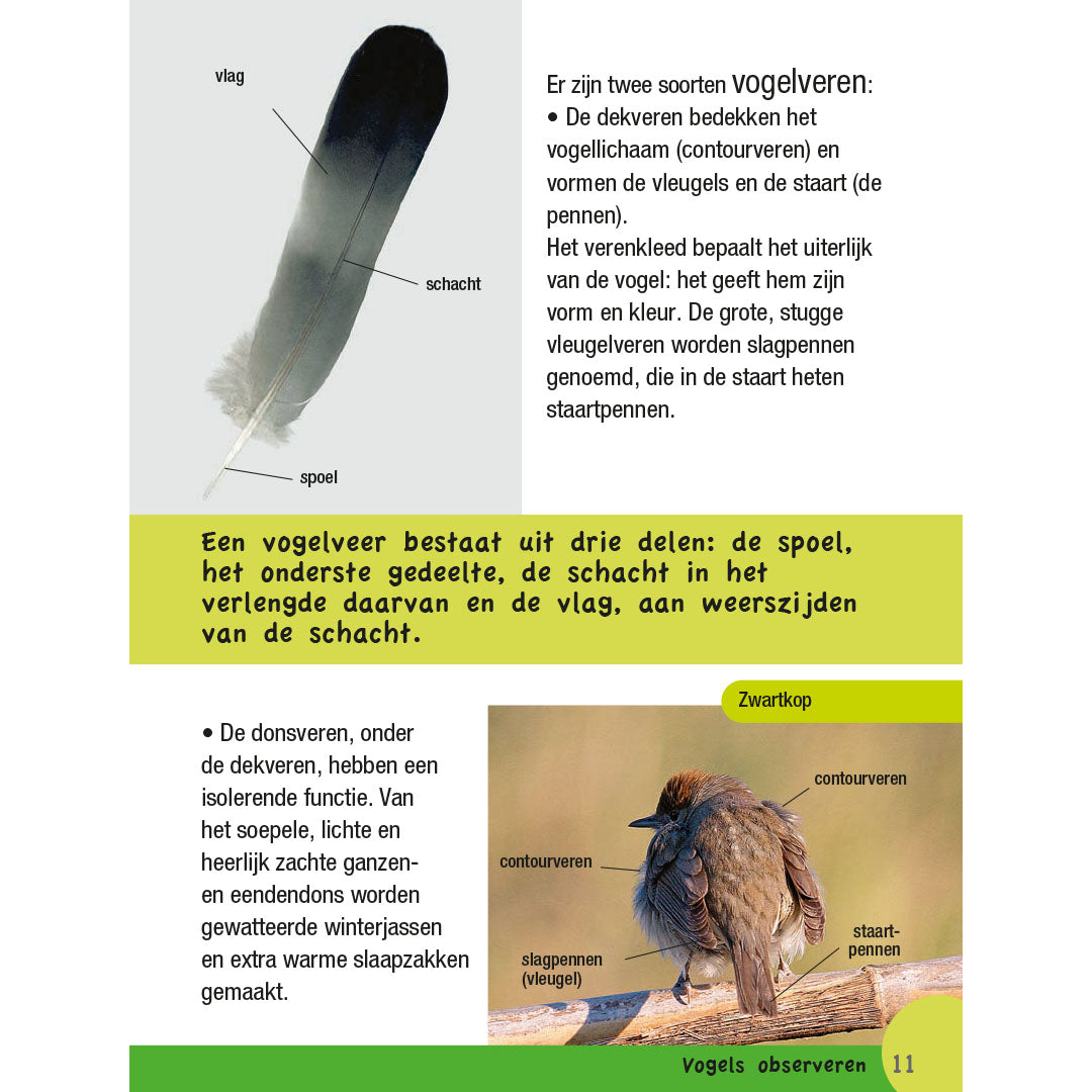 uitgeverij kosmos vogelgids voor kids | 1534256 | 3