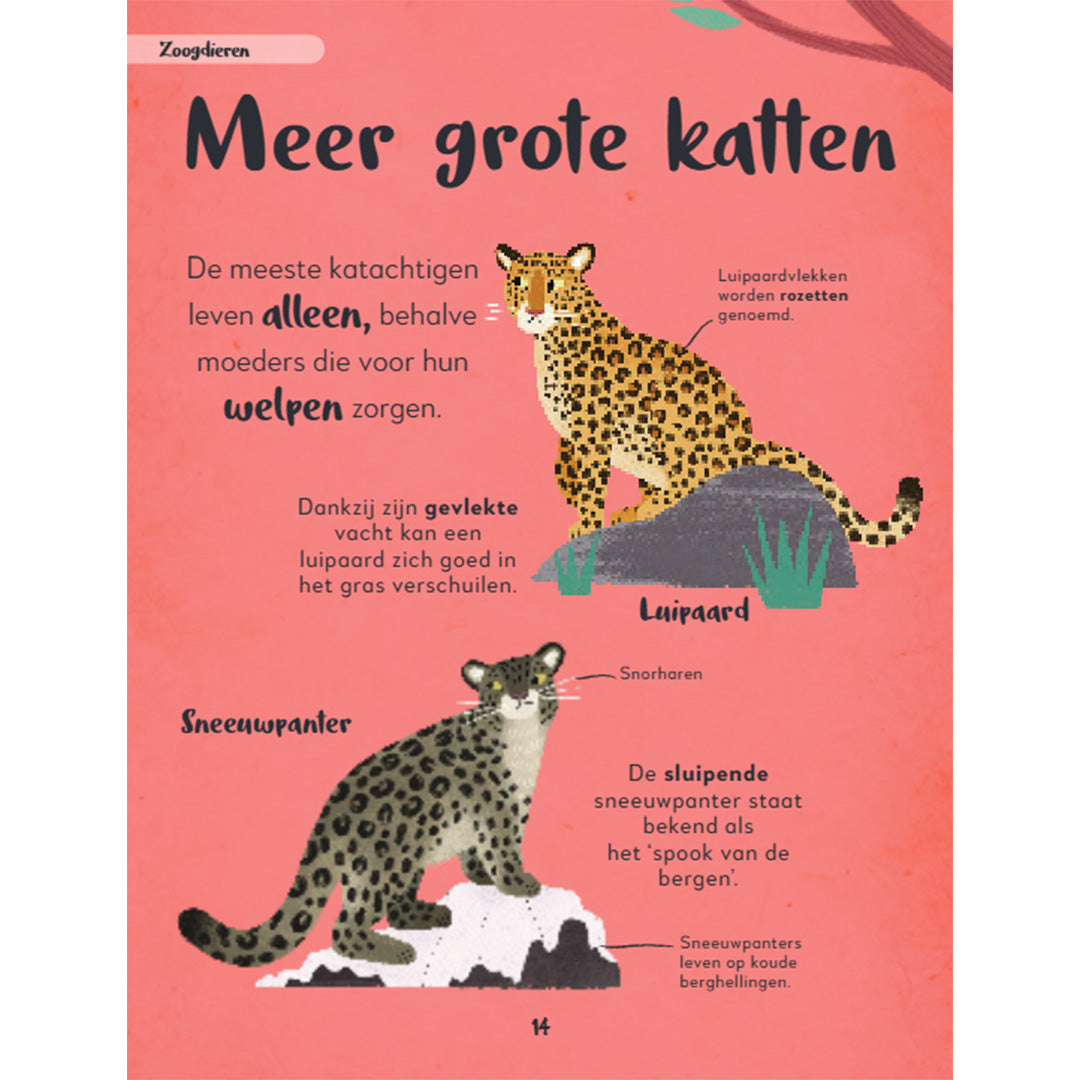 uitgeverij lannoo mijn eerste bijzondere boek van alle dieren | 1556165 | 4