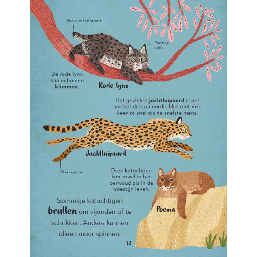 uitgeverij lannoo mijn eerste bijzondere boek van alle dieren | 1556165 | 5