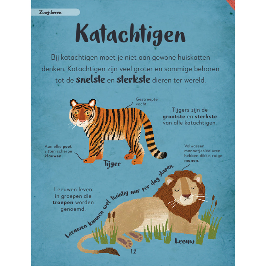 uitgeverij lannoo mijn eerste bijzondere boek van alle dieren | 1556165 |2