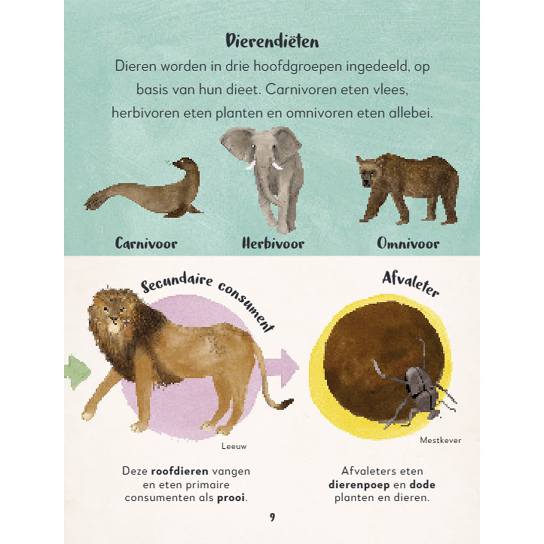 uitgeverij lannoo mijn eerste bijzondere boek van alle dieren | 1556165 | 3