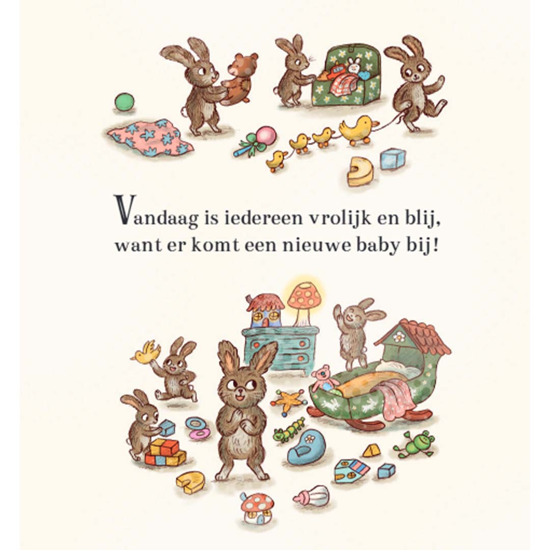 uitgeverij lemniscaat een nieuwe baby
